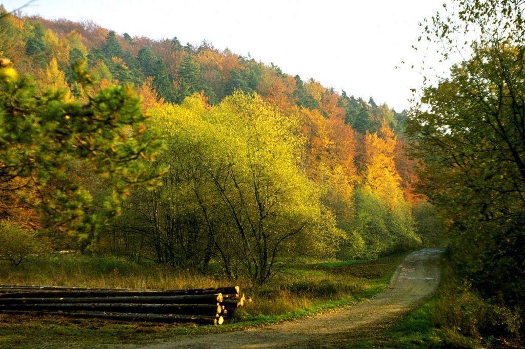 Herresbach Fliederhof Ferienwohnungen חדר תמונה